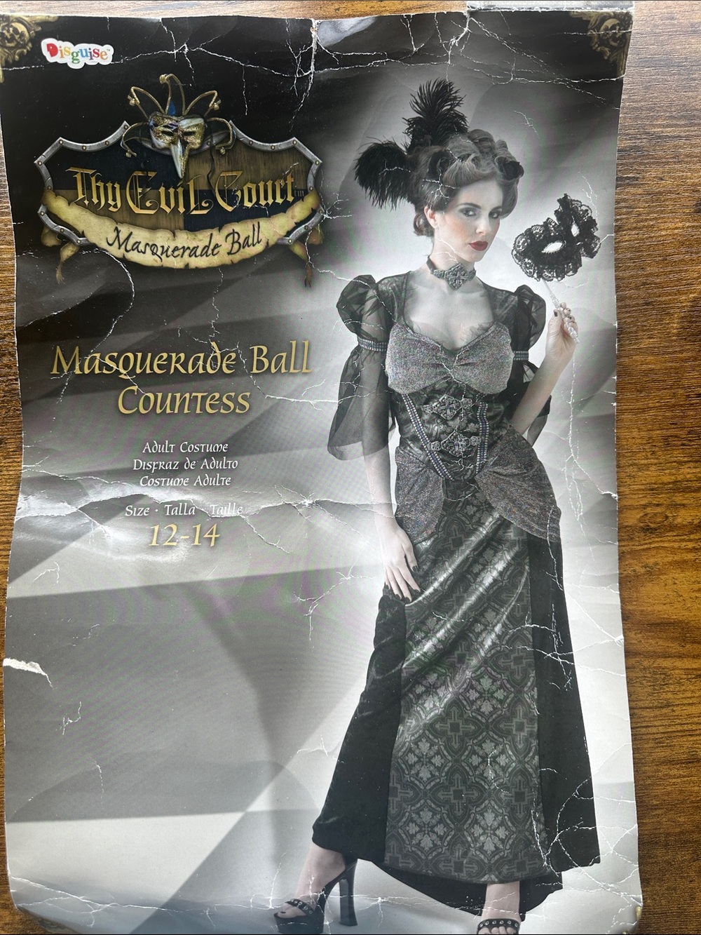 Masquerade Ball countess.  Adult costume